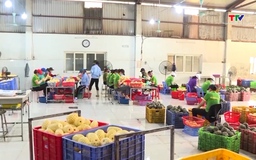 Cán cân thương mại xuất nhập khẩu hàng hóa tiếp tục thặng dư