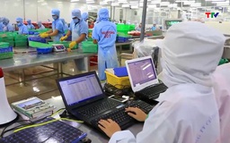 Ứng dụng chuyển đổi số trong ngành nghề chế biến thủy, hải sản 