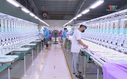 Ứng dụng khoa học kỹ thuật vào sản xuất thúc đẩy doanh nghiệp phát triển