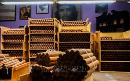 Cuba giành lợi thế trong cuộc chiến bảo vệ thương hiệu xì gà Cohiba 