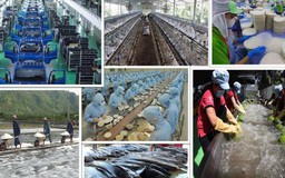 Tổng Bí thư Tô Lâm và tư duy lý luận mới về kinh tế tư nhân