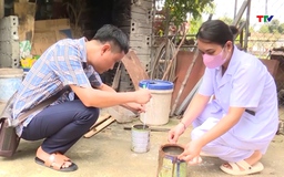 Tăng cường, phòng, chống sốt xuất huyết