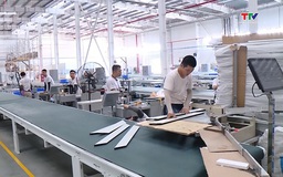 96,1% người lao động trong doanh nghiệp FDI được đóng các loại bảo hiểm