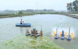 Phát triển nuôi trồng thủy sản nước ngọt