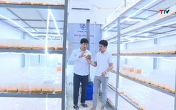 Hậu Lộc đẩy mạnh phát triển doanh nghiệp 
