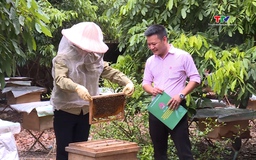 Vốn tín dụng chính sách thúc đẩy phát triển kinh tế xã hội tại huyện Thạch Thành