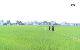 Ứng dụng trí tuệ nhân tạo trong sản xuất nông nghiệp