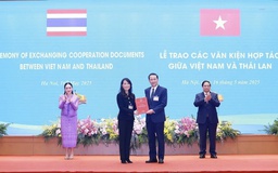 Chủ tịch UBND tỉnh trao quyết định chấp thuận đầu tư cho Tập đoàn WHA - Thái Lan