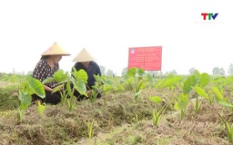 Tăng cường quản lý về nhiệm vụ khoa học và công nghệ