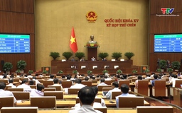 Đoàn đại biểu Quốc hội tỉnh Thanh Hóa cho ý kiến vào các dự án Luật