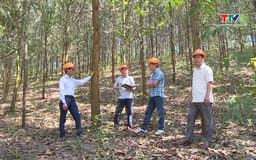 Tỷ lệ che phủ rừng của Thanh Hóa ước hết năm 2025 đạt 54%