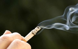 Việt Nam là một trong số các quốc gia có số người hút thuốc cao nhất thế giới