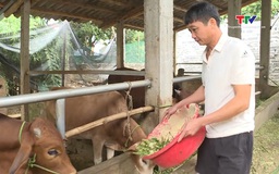Hiệu quả chương trình đầu tư tín dụng theo Nghị quyết 30a