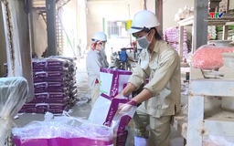 Kế hoạch hành động của Chính phủ về phát triển kinh tế tư nhân
