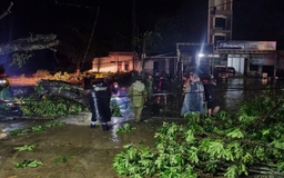 Dự báo từ đêm 24 ngày 25/5, khu vực Thanh Hoá có mưa vừa, có nơi mưa to đến rất to
