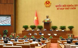 Quốc hội thảo luận về miễn học phí đối với trẻ em mầm non, học sinh phổ thông