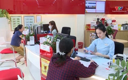 Công bố công cụ hỗ trợ phát triển tín dụng xanh