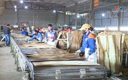 Xuất khẩu gỗ và sản phẩm gỗ đạt hơn 5,38 tỷ USD