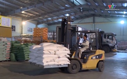 Giá gạo  xuất khẩu giảm mạnh