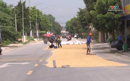 Cần chấn chỉnh tình trạng phơi lúa, rơm rạ trên đường tiềm ẩn nguy cơ mất an toàn giao thông
