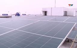 Chuyển đổi năng lượng xanh trong doanh nghiệp