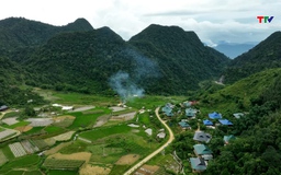 Miền Tây xanh