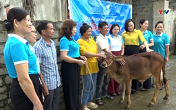 Hỗ trợ sinh kế cho hội viên Hội Liên hiệp Phụ nữ huyện Vĩnh Lộc