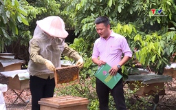 Thạch Thành: Vốn tín dụng chính sách hơn 696 tỷ đồng