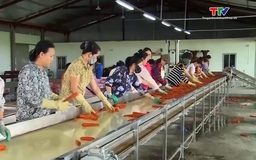 Xuất khẩu rau quả: nhiều tín hiệu tích cực