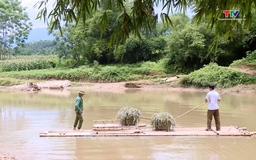 Lang Chánh: Khi người dân mòn mỏi chờ nhịp cầu "sinh kế"