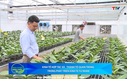 Bản tin Nông nghiệp - nông thôn ngày 31/5/2025