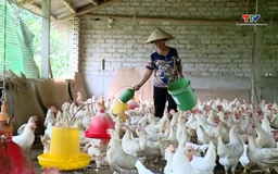 Nâng cao trình độ sản xuất nông nghiệp an toàn cho người dân