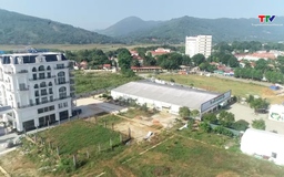 Tập trung cắt giảm, đơn giản hóa thủ tục hành chính lĩnh vực xây dựng