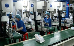 VCCI kiến nghị gỡ khó cho doanh nghiệp xuất khẩu gạo