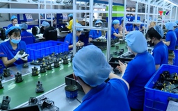 Doanh nghiệp Triệu Sơn nỗ lực vượt khó thúc đẩy sản xuất kinh doanh