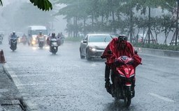 Dự báo, chiều 4/5, Thanh Hóa có mưa rào và dông