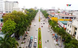 Chiều ngang qua phố