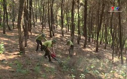 Dự báo và thông tin cấp dự báo cháy rừng từ ngày 7/5 - 9/5/2025
