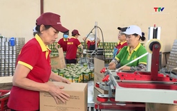 Nhiều tín hiệu tích cực trong xuất khẩu nông, lâm, thuỷ sản