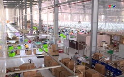 Hơn 51.000 doanh nghiệp đăng ký thành lập mới