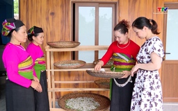 Hợp tác xã - thành tố quan trọng trong phát triển kinh tế tư nhân