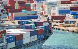 Nhật Bản chưa đạt tiến triển trong đàm phán thuế quan với Mỹ
