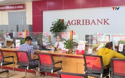 Vốn tín dụng hỗ trợ khu vực kinh tế tư nhân phát triển