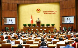 Quốc hội biểu quyết thông qua việc sắp xếp đơn vị hành chính cấp tỉnh
