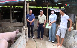 Cần sớm giải quyết tình trạng ô nhiễm ở trang trại chăn nuôi phường Đông Hải, thành phố Thanh Hóa