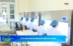 Bản tin Nông nghiệp – Nông thôn 14/6/2025