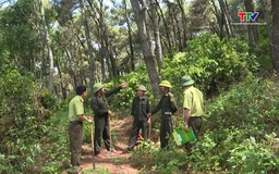 Tăng cường đầu tư công nghệ giám sát rừng