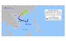 Từ đêm 14/6, bão số 1 sẽ suy yếu dần thành áp thấp nhiệt đới