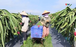 Huyện Ngọc Lặc, tỉnh Thanh Hóa đạt chuẩn nông thôn mới năm 2024