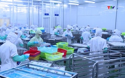 Các doanh nghiệp xuất khẩu thủy sản đẩy mạnh tìm kiếm thị trường, duy trì tăng trưởng